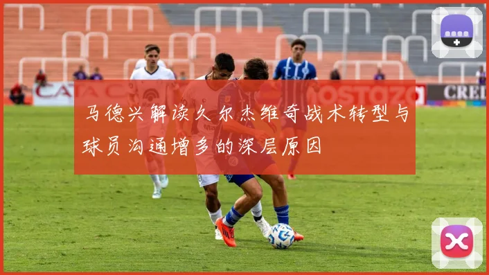 马德兴解读久尔杰维奇战术转型与球员沟通增多的深层原因